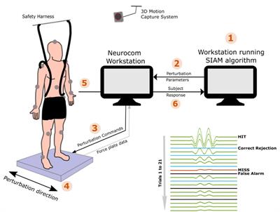 Evaluating Sensory Acuity as a Marker of Balance Dysfunction After a Traumatic Brain Injury: A Psychophysical Approach